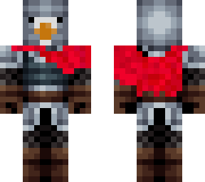 bird knight