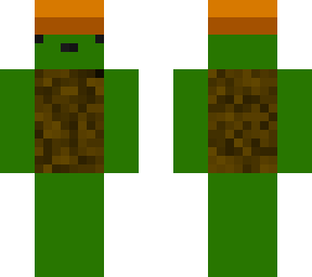 turtle