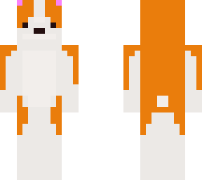 corgi
