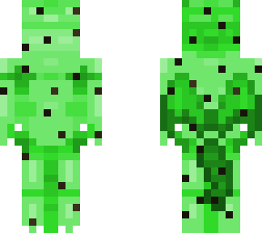 mintdragon