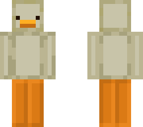 basic/clean seagull