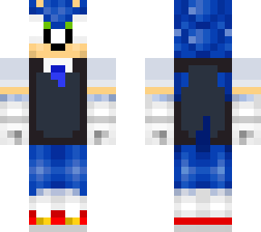 sonic teacher