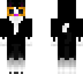 tuxedo cat