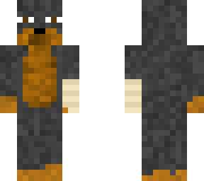 dashshund the dachshund