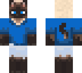 siamese cat