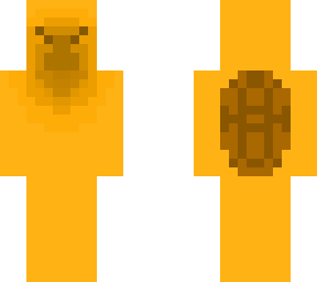 tortoise base