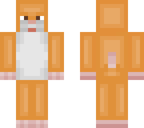 hamster
