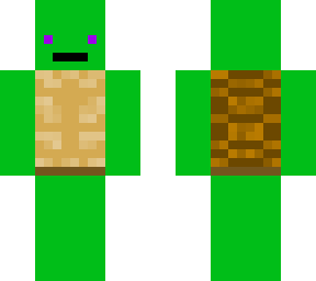 turtle dude