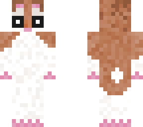 hamster in progress