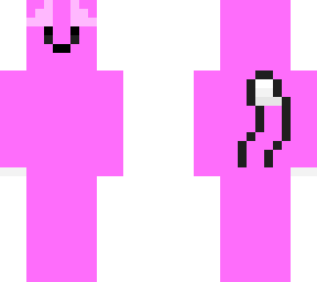hot pink cat