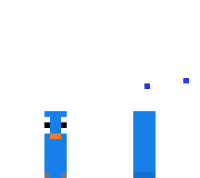 blue duck