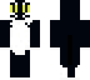 my cat