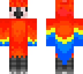 scarlet macaw