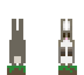 rabbit standing on grass
