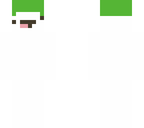 white derp turtle helmet