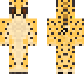 cheetah