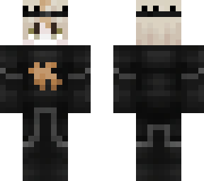 skin for ace