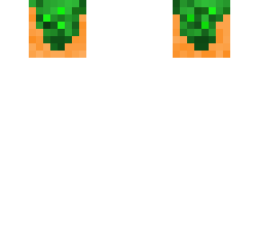 flower 2