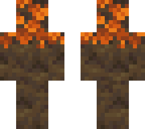 orange poplar tree