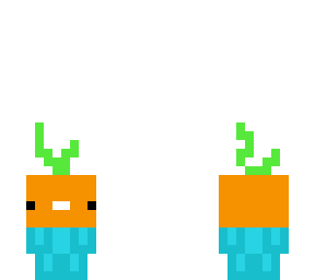 barrot