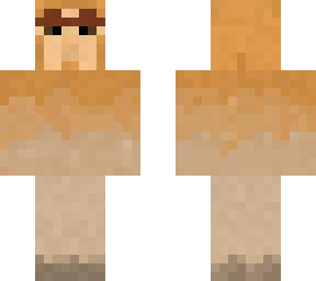 proboscis monkey