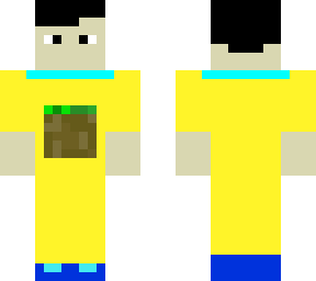 the minecraft guy