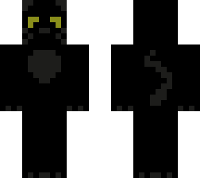 black cat