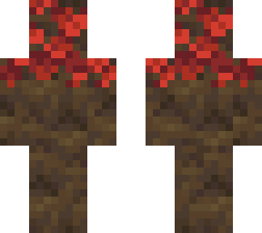 red poplar tree
