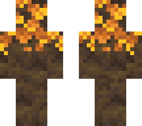 yellow poplar tree
