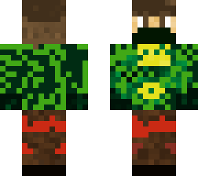 el tortuyin
