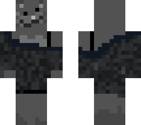 grey cat