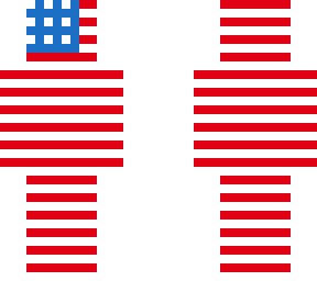 the american flag_