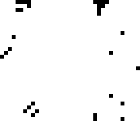 white and black
