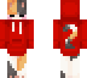 calico in red hoodie 2
