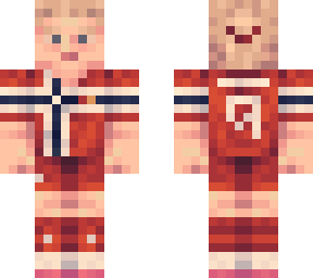 the terminator - erling haaland