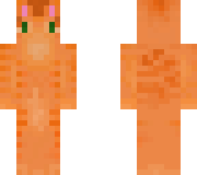 orange cat