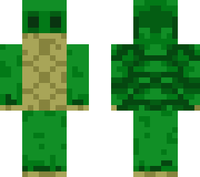 turtle 3