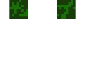 camo head