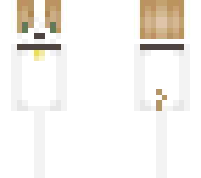 jack russell terrier