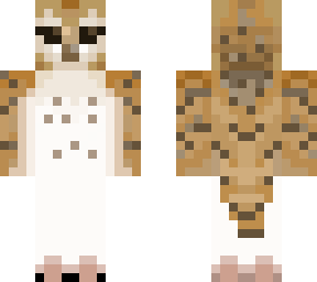 barn owl