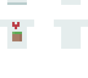 minecraft fan tee (with cap)
