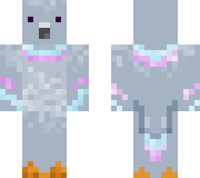 pigeon