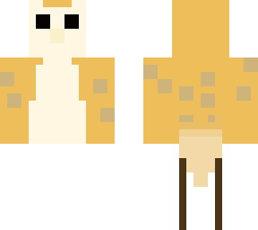 barn owl