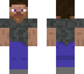 alternate steve