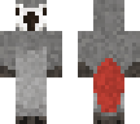 grey parrot