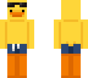 lovely summer duck