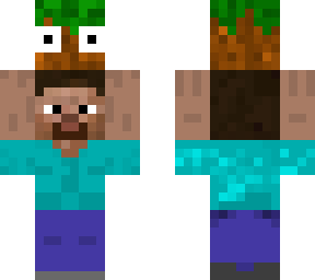 steve