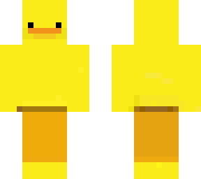 duck (2)