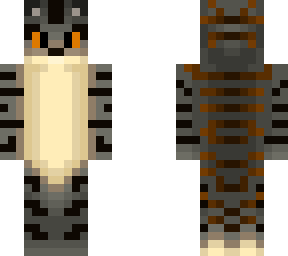 gato andino