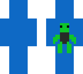 turtle in water